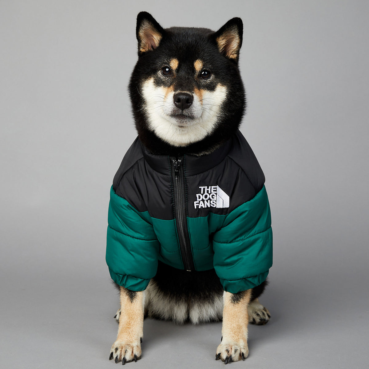 American trendy dog face windproof and rainproof dog large dog winter warm raincoat dog pet cotton jacket