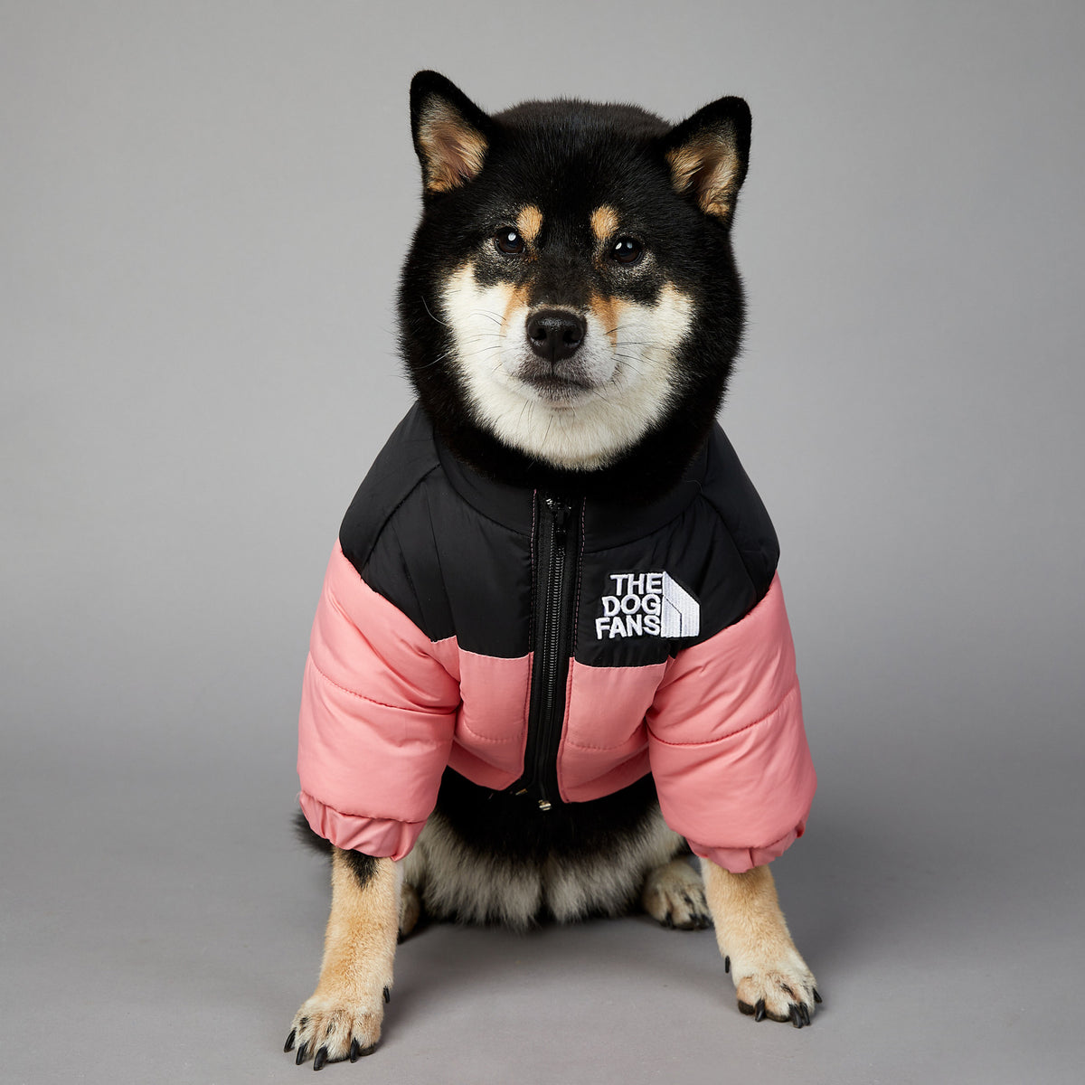 American trendy dog face windproof and rainproof dog large dog winter warm raincoat dog pet cotton jacket