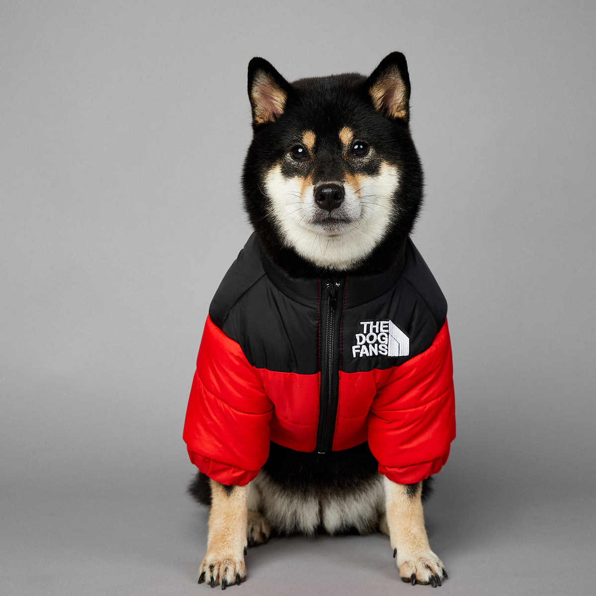 American trendy dog face windproof and rainproof dog large dog winter warm raincoat dog pet cotton jacket